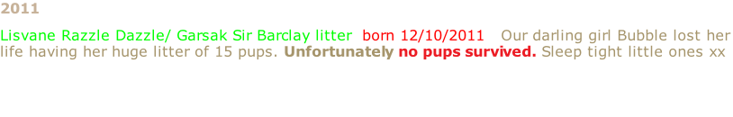 2011 Lisvane Razzle Dazzle/ Garsak Sir Barclay litter  born 12/10/2011   Our darling girl Bubble lost her life having her huge litter of 15 pups. Unfortunately no pups survived. Sleep tight little ones xx
